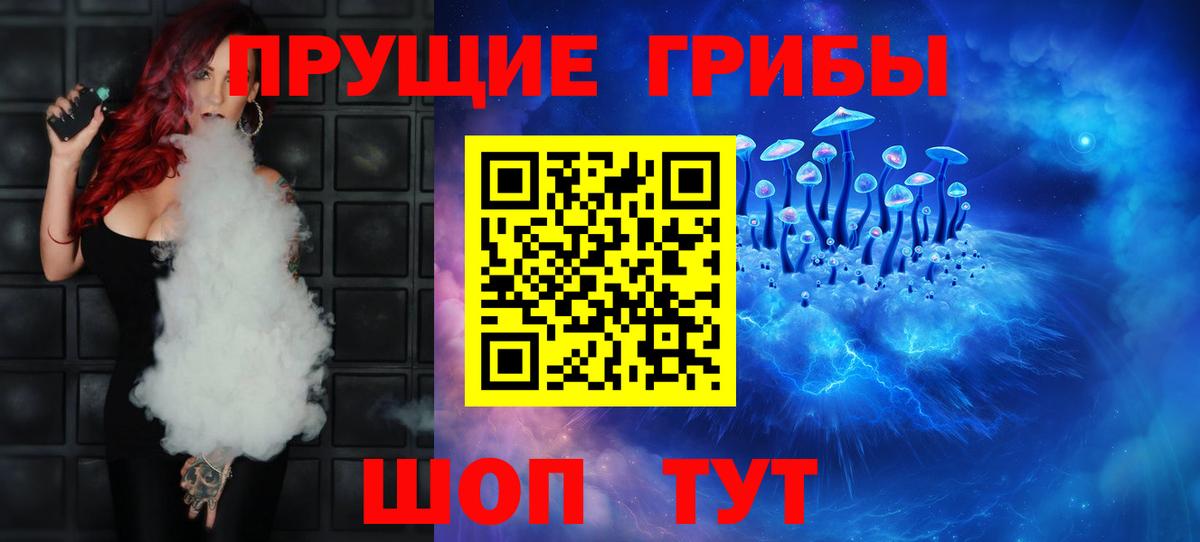 Балашов  купить закладку  Вход с VPN  Галлюциногенные грибы Psilocybe 